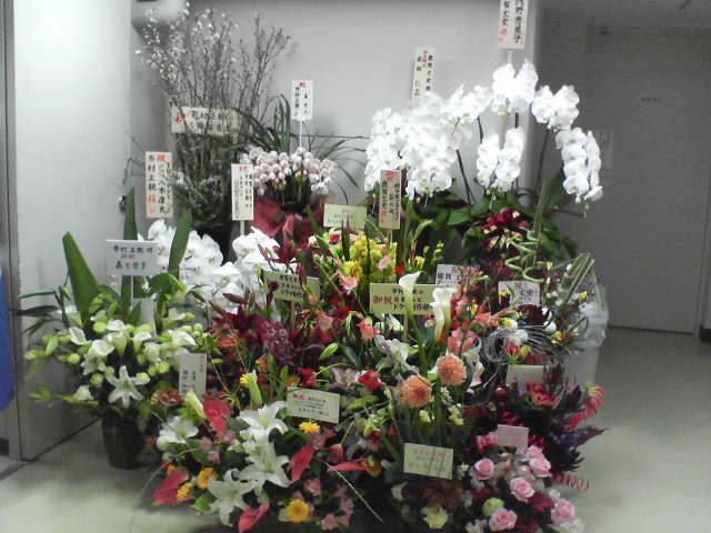 楽屋廊下がステキなお花畑に変身！たくさんのお花をありがとうございます。